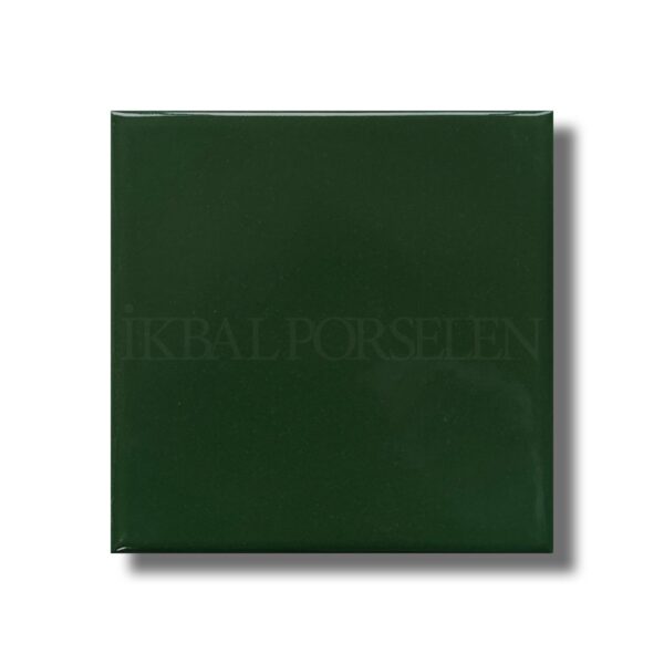 10×10 Renk Serisi – KOYU YEŞİL – RAL 6005