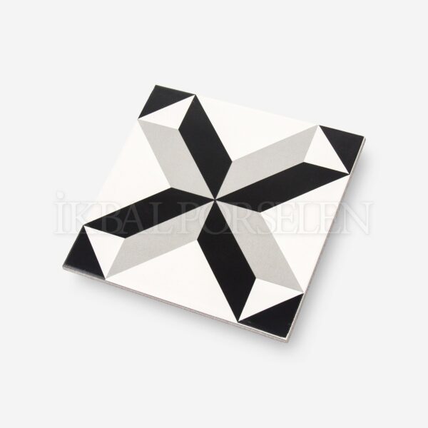 Modern Desenler – 20×20 Porselen Karo iyk08