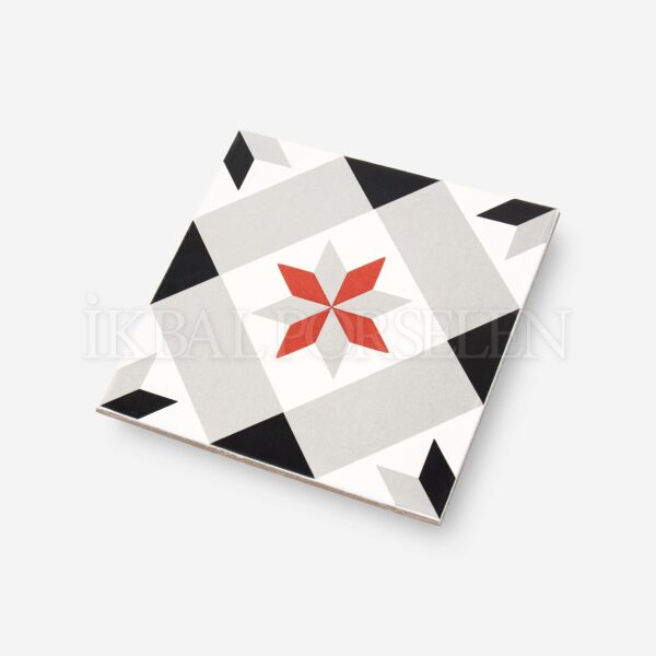 Modern Desenler – 20×20 Porselen Karo iyk80