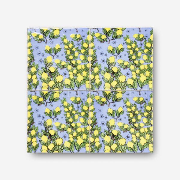 Konsept Desenler – 20×20 cm Porselen Karo ick3