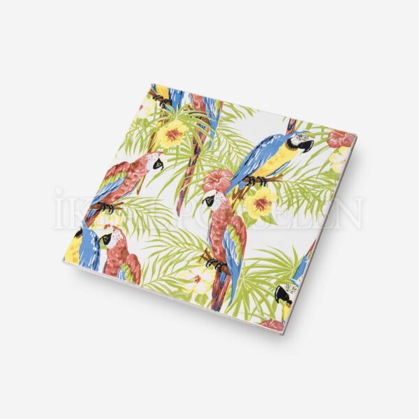 Konsept Desenler – 20×20 cm Porselen Karo ick14